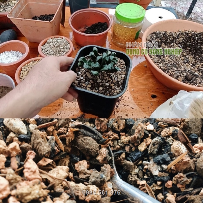 Có thể trộn đất với nhiều giá thể khác nhau để tăng hiệu quả trồng cây Có thể trộn đất với nhiều giá thể khác nhau để tăng hiệu quả trồng cây