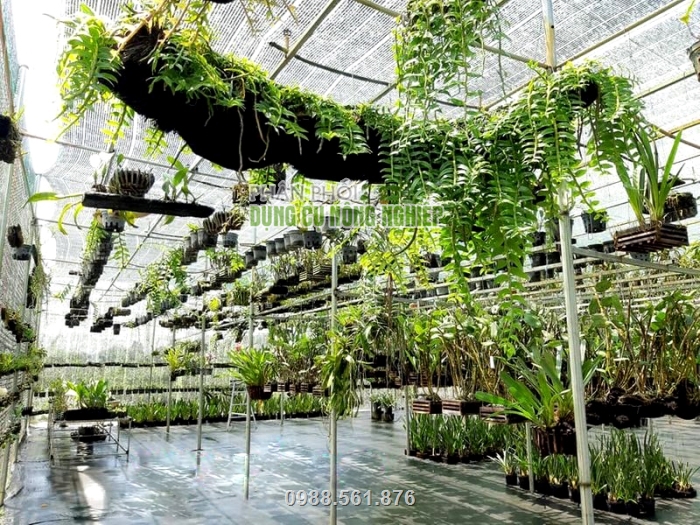 Lưới được sử dụng để che nắng nắng nóng, chắn tia UV hiệu quả cho các vườn ươm cây, vườn trồng lan