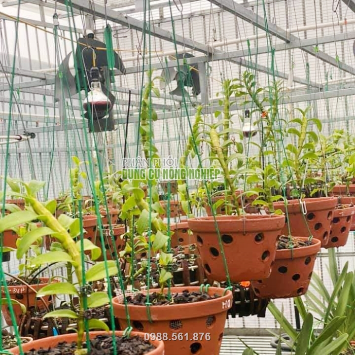 Sản phẩm chắc chắn, đầu móc và dây treo được khớp nối với nhau chịu được sức nặng cao Sản phẩm chắc chắn, đầu móc và dây treo được khớp nối với nhau chịu được sức nặng cao