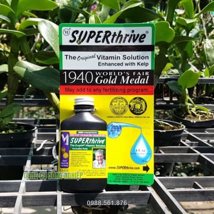 SUPERthrive giúp phục hồi cây mới trồng hoặc mới chuyển chậu