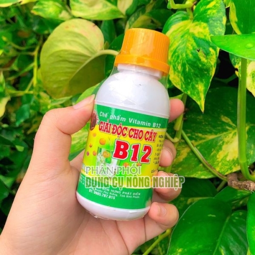 Thuốc giải độc cho cây trồng B12 hiệu quả cao