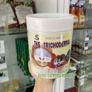Trichoderma cho hoa lan bảo vệ bộ rễ