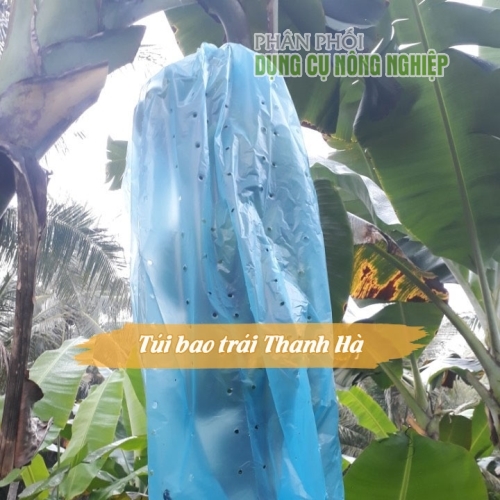 Túi bao trái cây Thanh Hà bằng nilon xanh bọc chuối kích thước 70x140cm