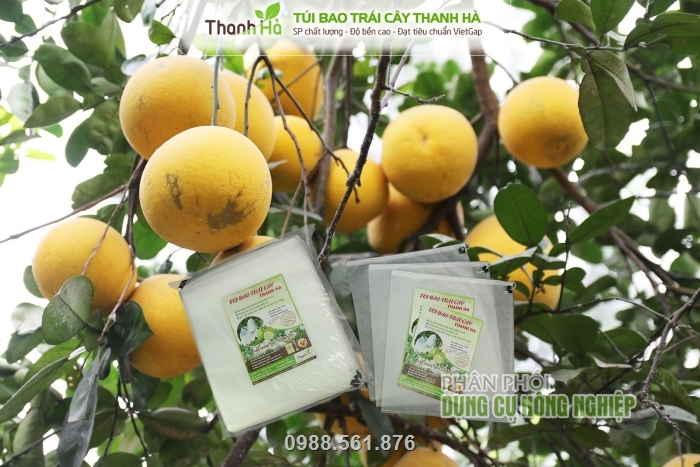 Túi dùng để bao bưởi và các loại trái cây khác nhau Túi dùng để bao bưởi và các loại trái cây khác nhau