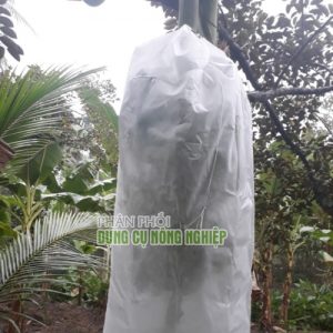 Túi bọc trái cây Thanh Hà bằng vải không dệt dùng bao buồng chuối 60x100cm