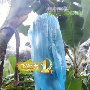 Túi bọc trái cây Thanh Hà bao buồng chuối màu xanh kích thước 70x140cm