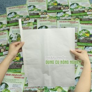Túi bọc xoài Thanh Hà chất liệu giấy trắng kích thước 20x30cm