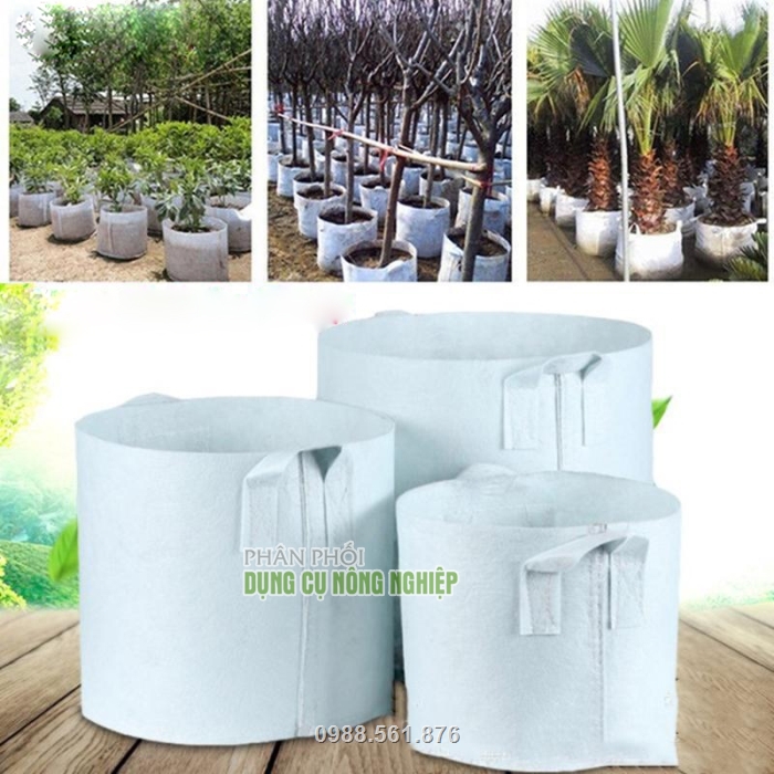 Túi vải địa trồng cây giá rẻ
