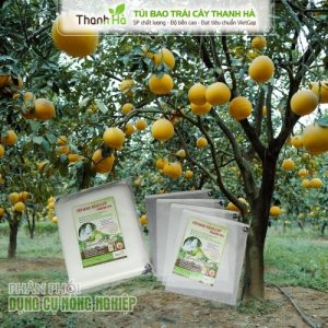 Túi bọc trái cây tránh côn trùng Thanh Hà bao buồng chuối giá rẻ 70x140cm