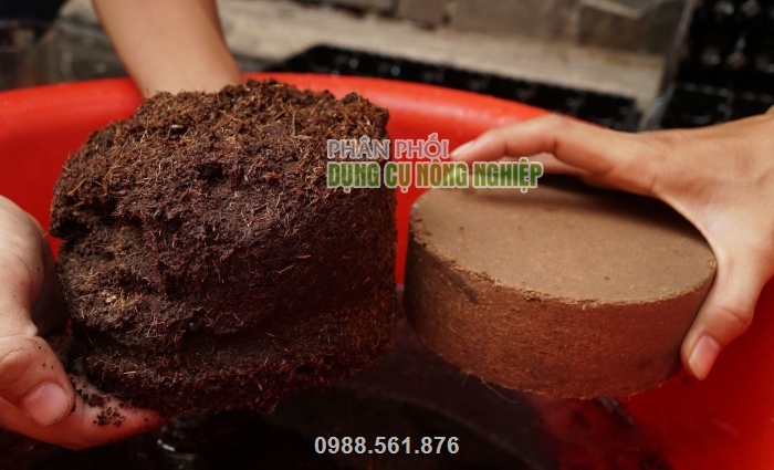 Bánh dừa thấm nước sẽ nở ra thể tích được khoảng 6dm3 giá thể Bánh dừa thấm nước sẽ nở ra thể tích được khoảng 6dm3 giá thể
