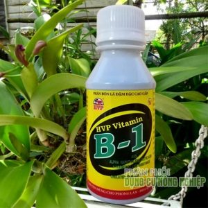 Vitamin B1 nước đậm đặc cho lan 100ml